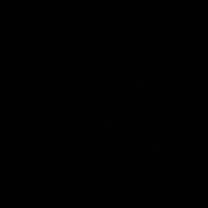 Meet your Posher, Therese